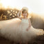 Strap Ivory Handmade Flower Girl Dresses, Affordable Lovely Tulle Tutu Dresses, FG029