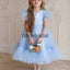 Blue Pink Tulle Cute Cheap Flower Girl Dresses FGS147