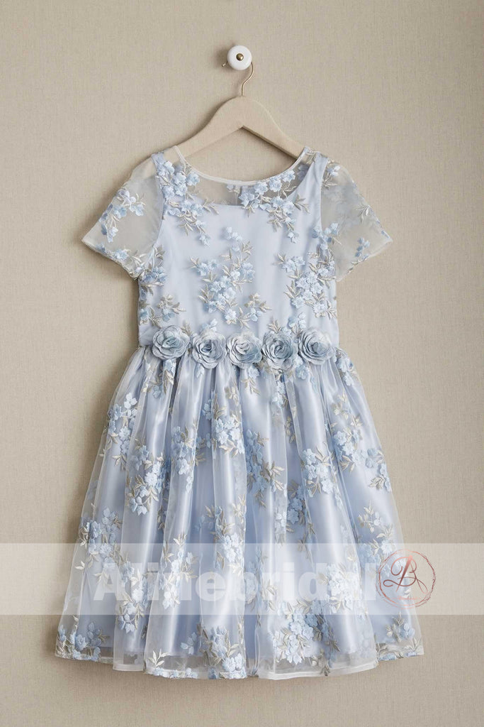 Stunning Blue Organza Lace Round Neck Short Sleeve Flower Girl Dresses, FGS086